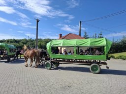 4487176429299761489303344713653511984469808n